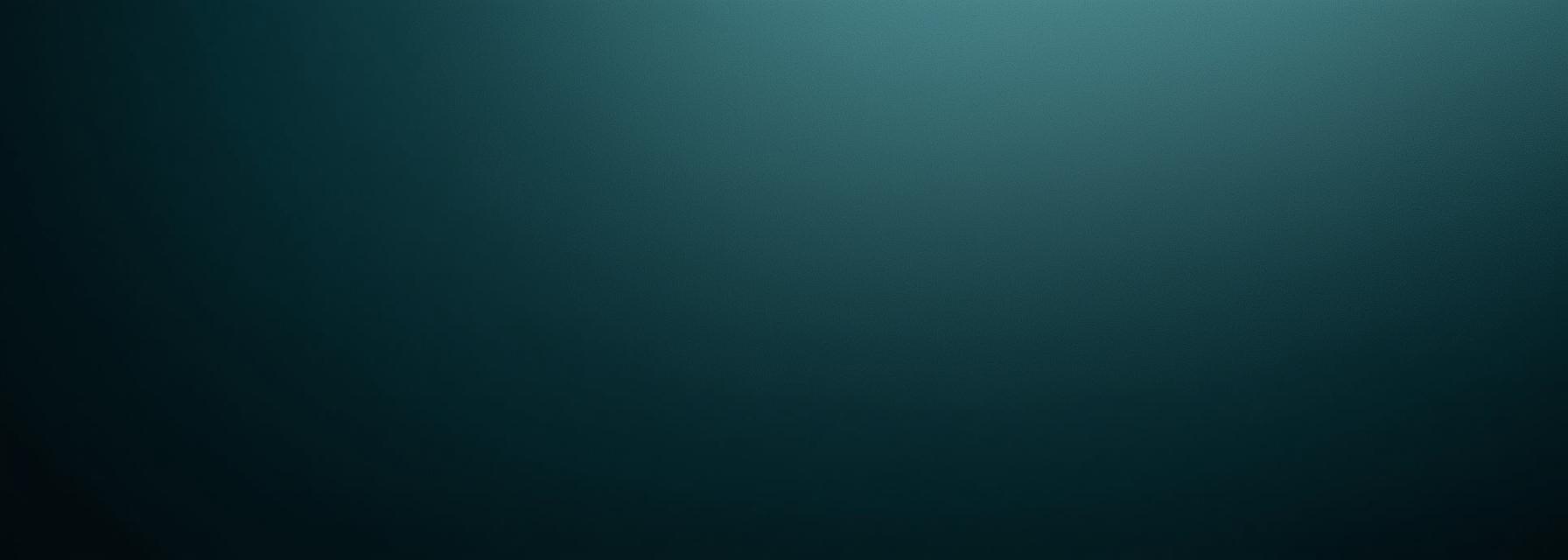 Boni, Transaktionen, Verifizierung und Auszahlungspraxis